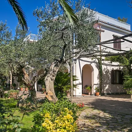 Guest house Caprile 5*